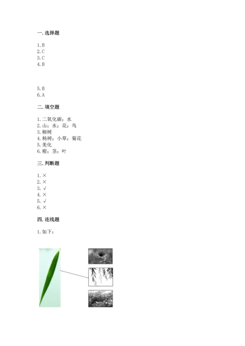 教科版科学一年级上册第一单元《植物》测试卷精品（各地真题）.docx