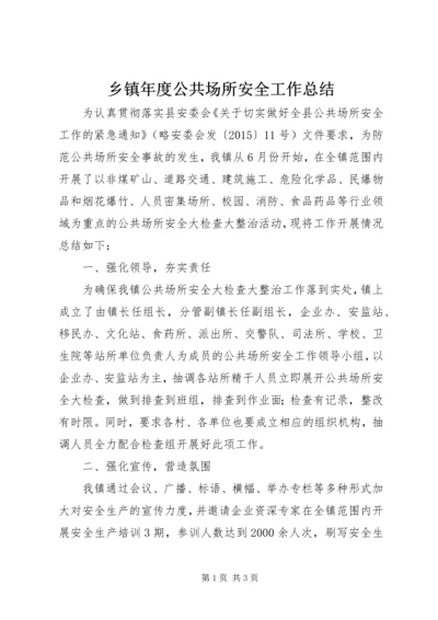 乡镇年度公共场所安全工作总结.docx