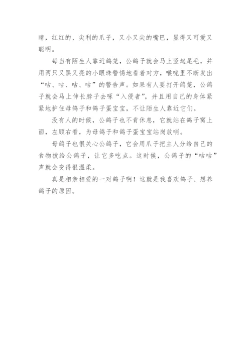 我最想养的小动物作文.docx