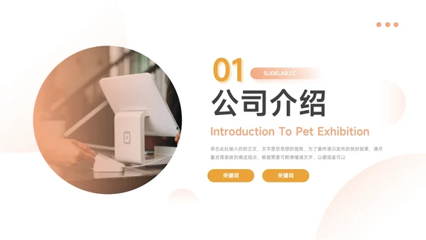 黄色高端大气图文公司宣传画册PPT模板