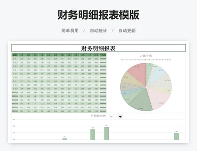 财务明细报表模版