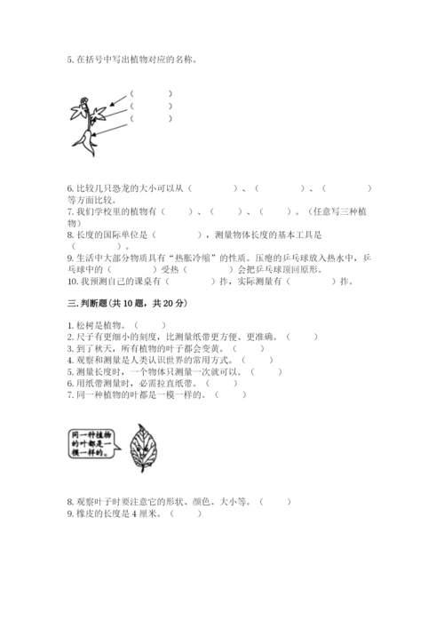 教科版一年级上册科学期末测试卷及完整答案（夺冠系列）.docx