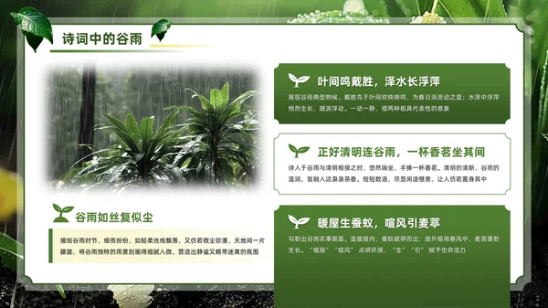 绿色系传统文化二十四节气谷雨主题PPT模板