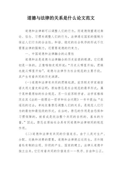 道德与法律的关系是什么论文范文.docx