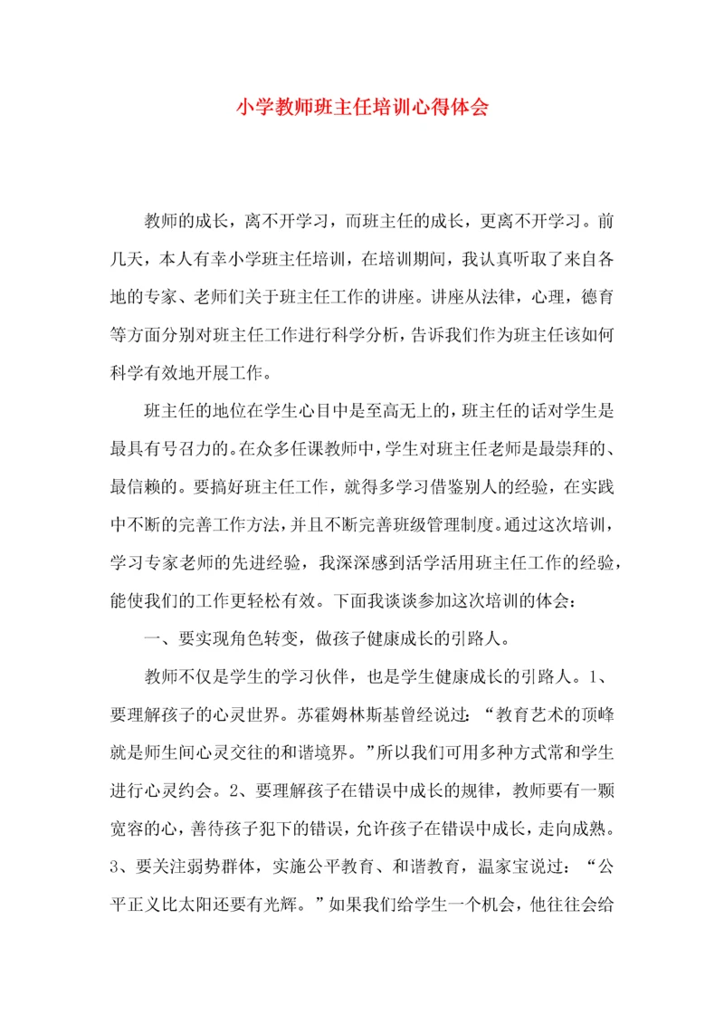 小学教师班主任培训心得体会.docx