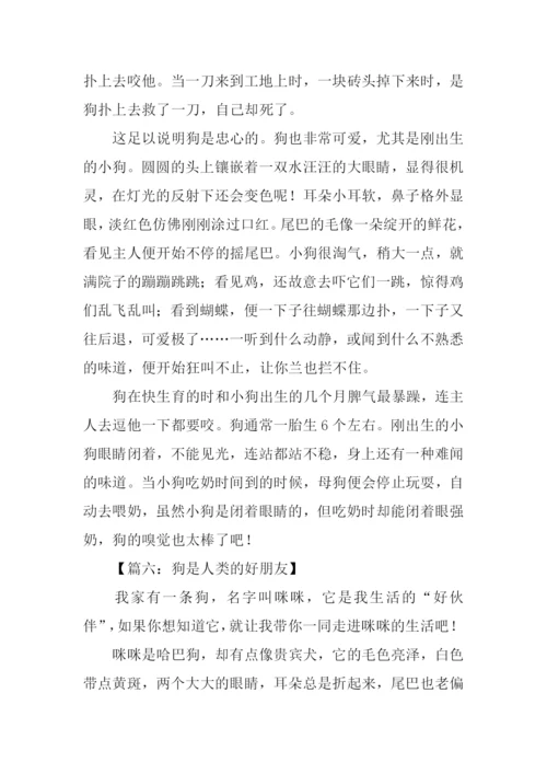 狗是人类的好朋友作文.docx