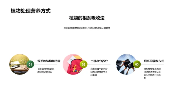 揭秘植物生命