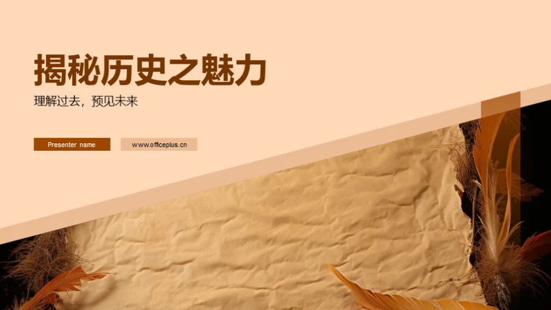 揭秘历史之魅力
