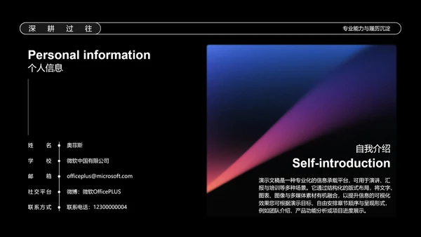 黑色简约商务弥散风岗位竞聘个人简历PPT模板