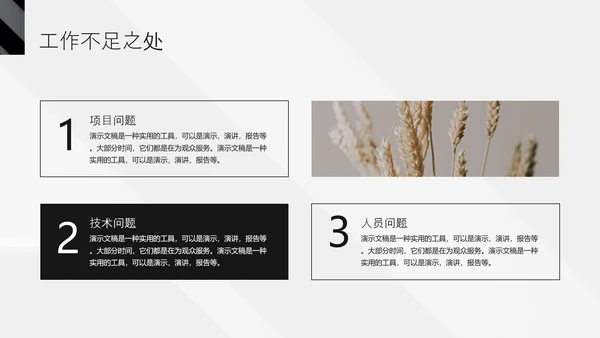 黑色竞聘述职通用PPT模板