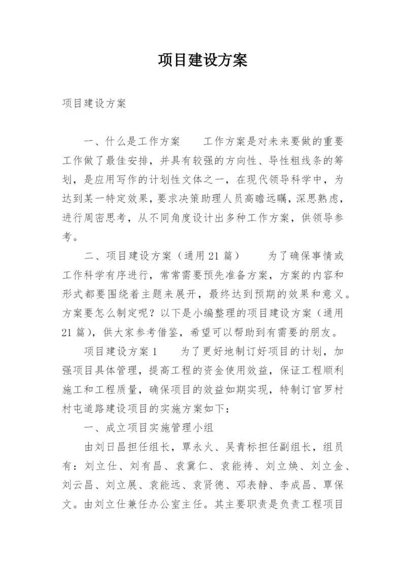 项目建设方案.docx