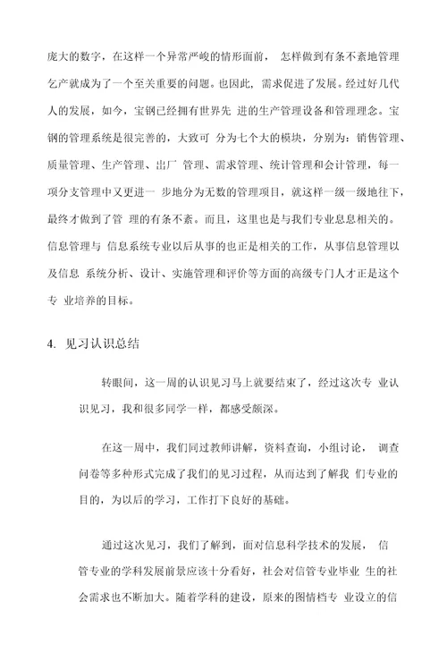 信管专业见习报告。。