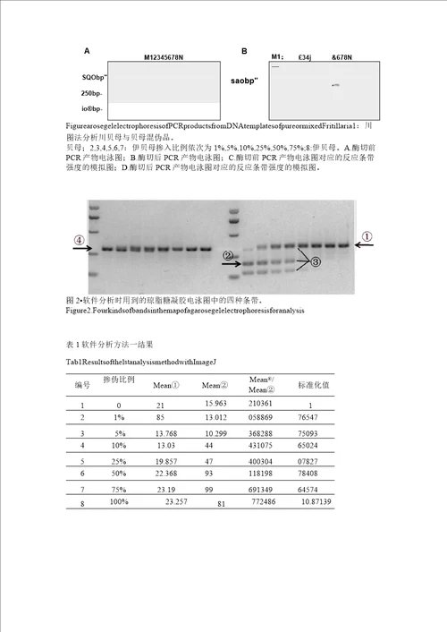 PCRRFLP法用于半定量检测川贝母掺伪的研究