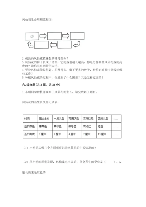 教科版科学四年级下册第一单元《植物的生长变化》测试卷【有一套】.docx