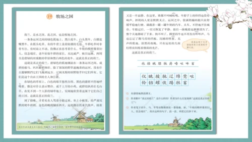 统编版语文五年级下册第七单元教材解读   课件