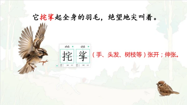 第16课《麻雀》课件