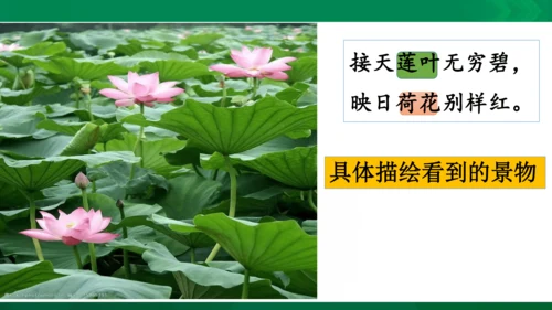 15《晓出净慈寺送林子方》教学课件 [自动保存的]