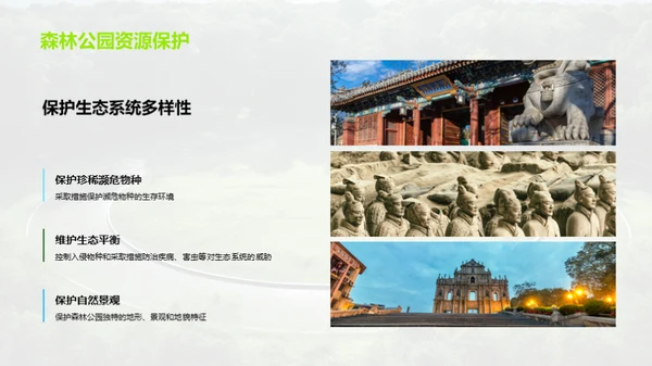 守护绿色家园