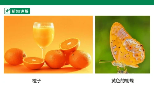 第十一课《橙色的画》课件