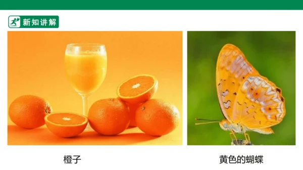 第十一课《橙色的画》课件