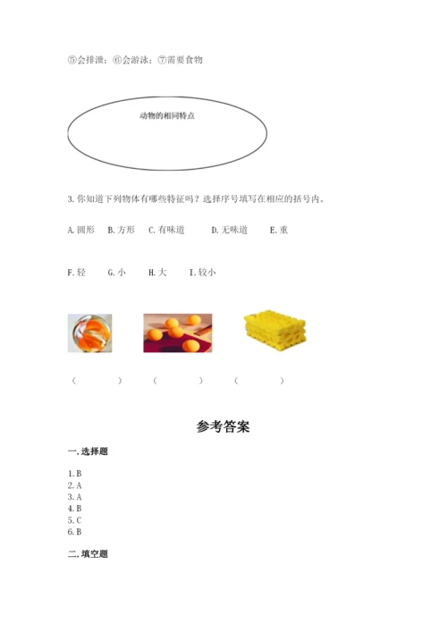 教科版一年级下册科学期末测试卷精品【完整版】.docx