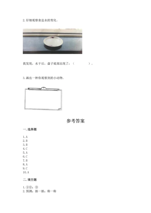 教科版一年级下册科学期末测试卷带答案（b卷）.docx