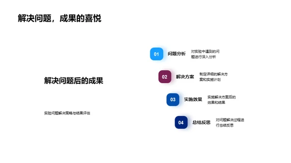 化学项目进展报告