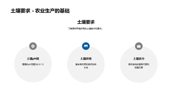 果树种植全面解析