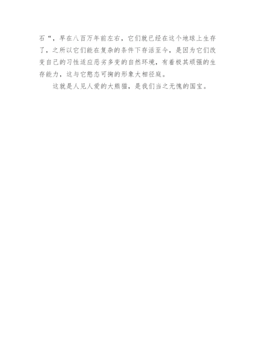 国宝大熊猫说明文.docx