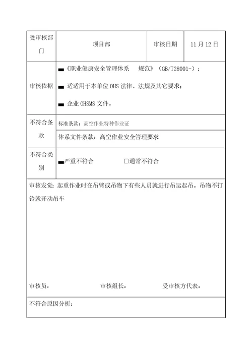 不符合项报告样稿