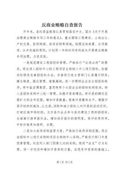 反商业贿赂自查报告 (2).docx