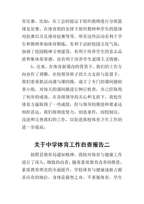关于中学体育工作自查报告