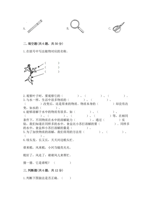 教科版科学一年级上册第一单元《植物》测试卷精品（考试直接用）.docx
