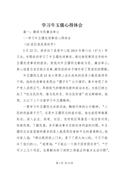 学习牛玉儒心得体会 (2).docx