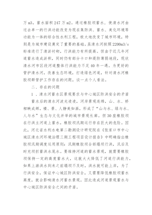 水利工程师论文.docx