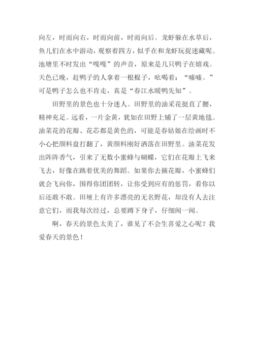 春天的景色作文800字.docx