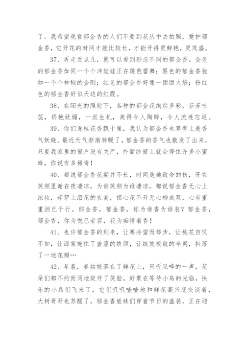 描写郁金香的优美句子.docx