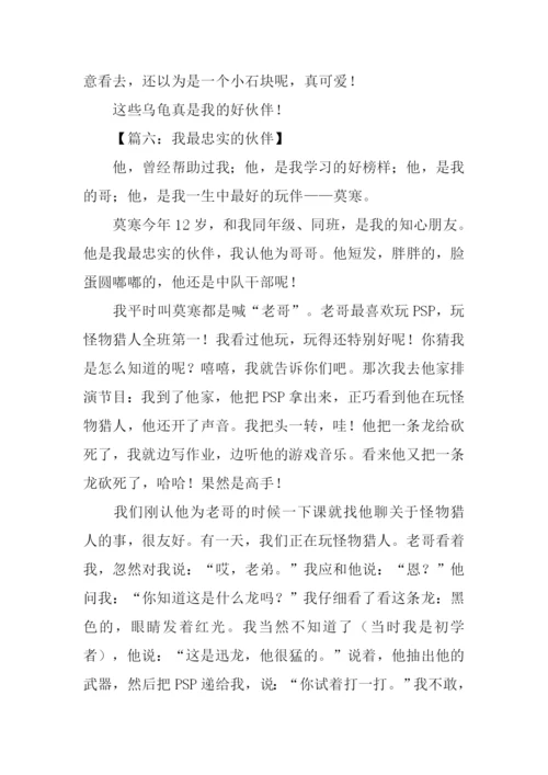 描写小伙伴的作文-1.docx