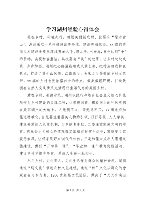 学习湖州经验心得体会.docx