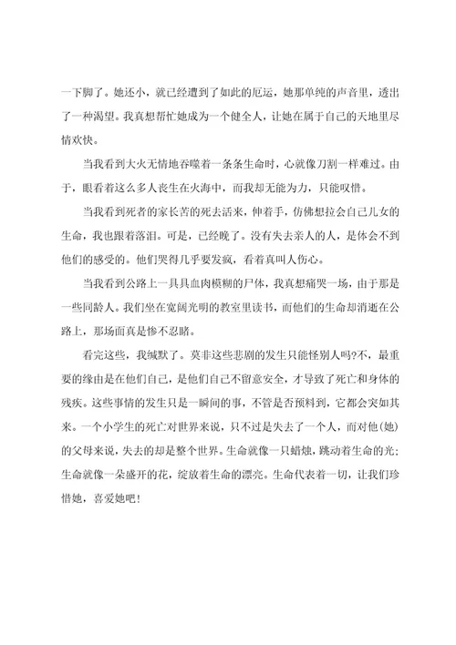 安全教育高中观后感(8篇)