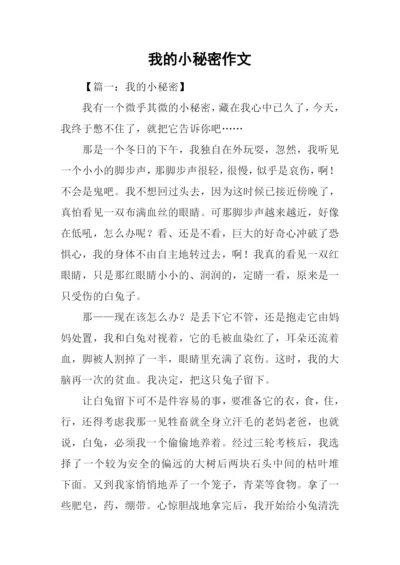 我的小秘密作文-1.docx