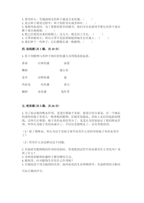 科学四年级下册第一单元植物的生长变化测试卷精品（必刷）.docx