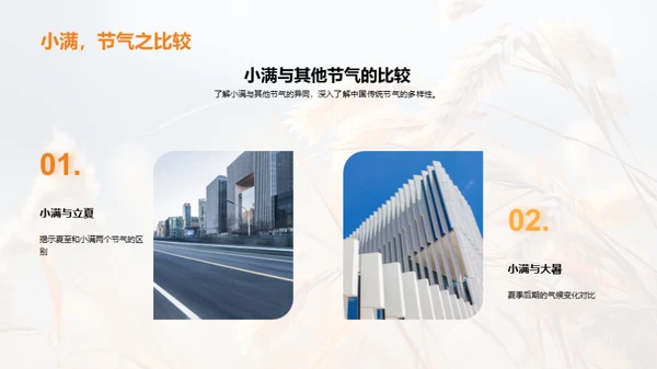 小满节气全解析