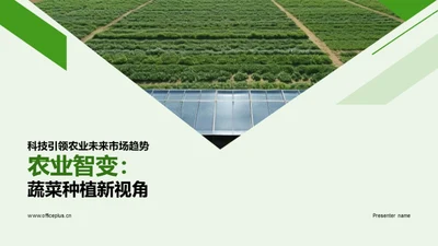 农业智变：蔬菜种植新视角