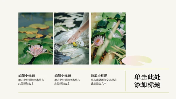 粉绿色荷花小清新风活动PPT模板
