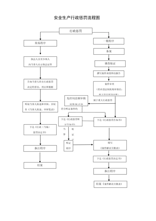 安全生产执法检查程序标准流程图.docx