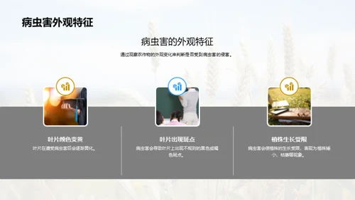 农作物病虫害全方位解析
