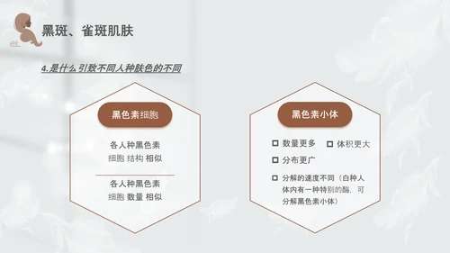 高级灰和棕色简约实拍风美容护肤美容知识培训PPT