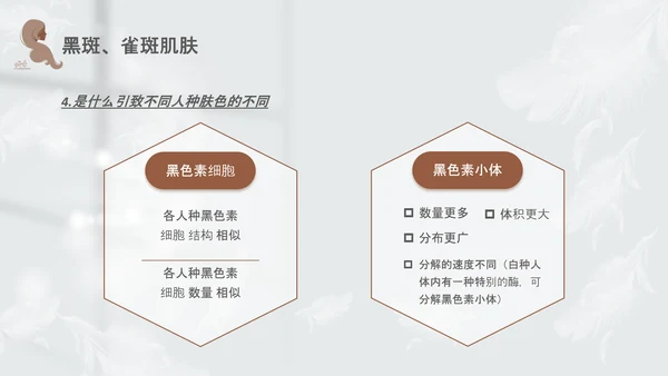高级灰和棕色简约实拍风美容护肤美容知识培训PPT