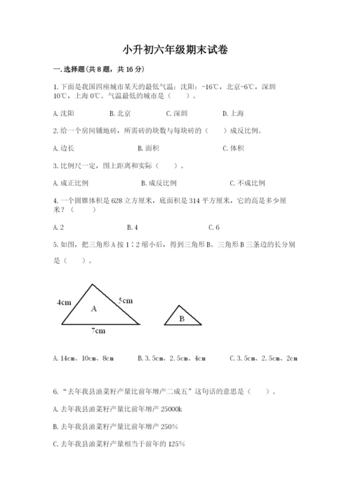小升初六年级期末试卷附参考答案（能力提升）.docx